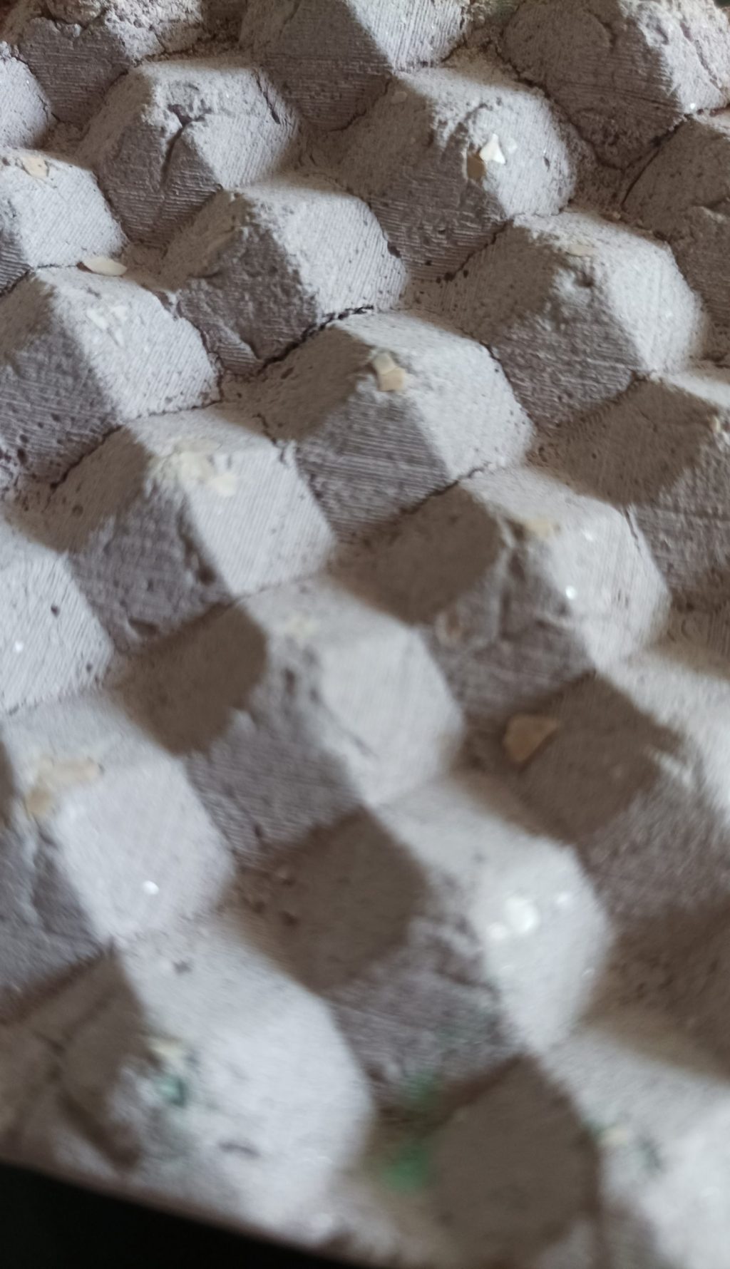 Biocerámica_cascara mejillón