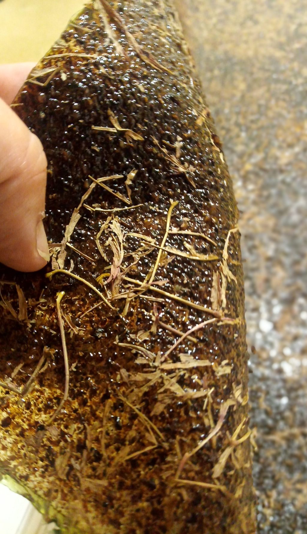 mahats patxa eta hostoak_bioplastikoa